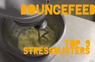 BounceFeed Stressbusters
